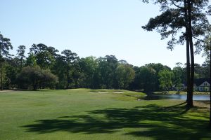 Pawleys Plantation 8th Approach